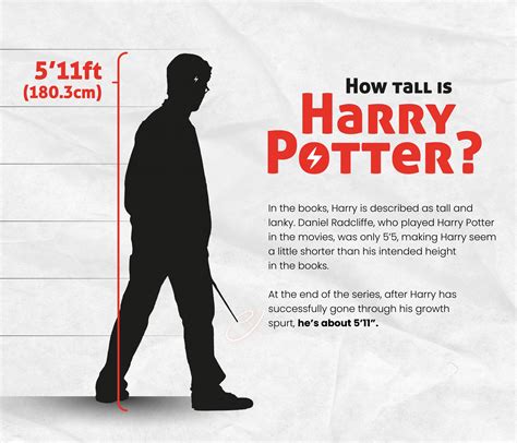 How Tall Are the Harry Potter Characters: Height Chart & Analysis